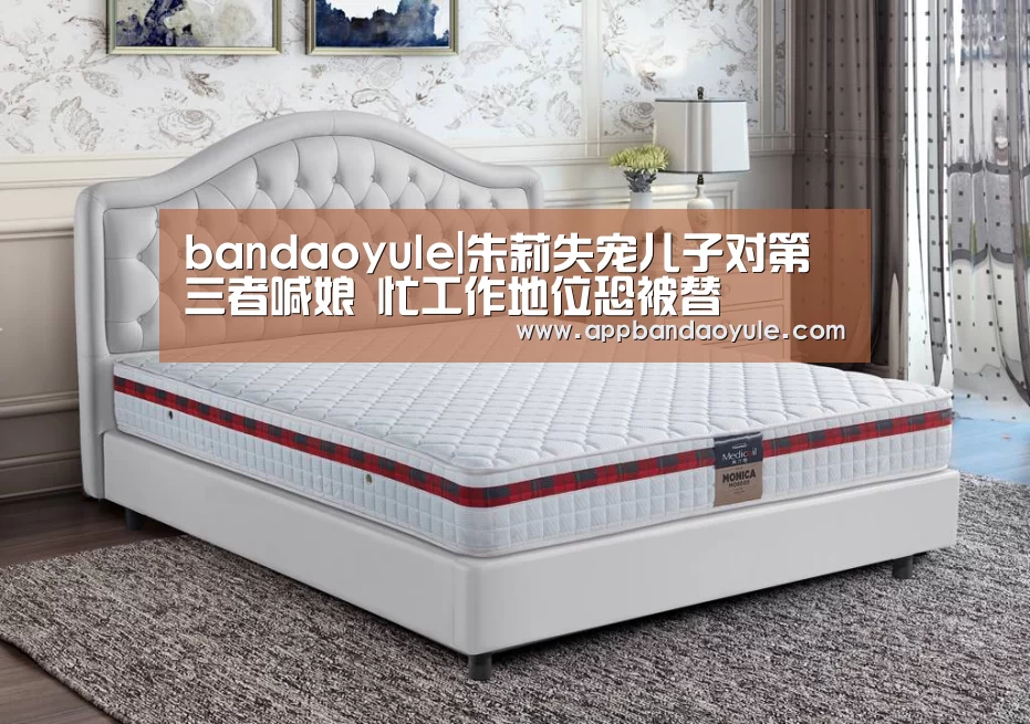 bandaoyule|朱莉失宠儿子对第三者喊娘 忙工作地位恐被替(图2)