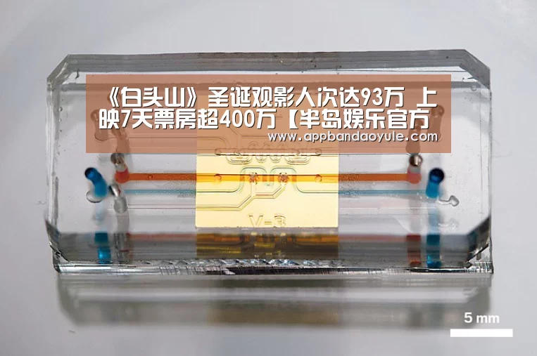 半岛娱乐官网