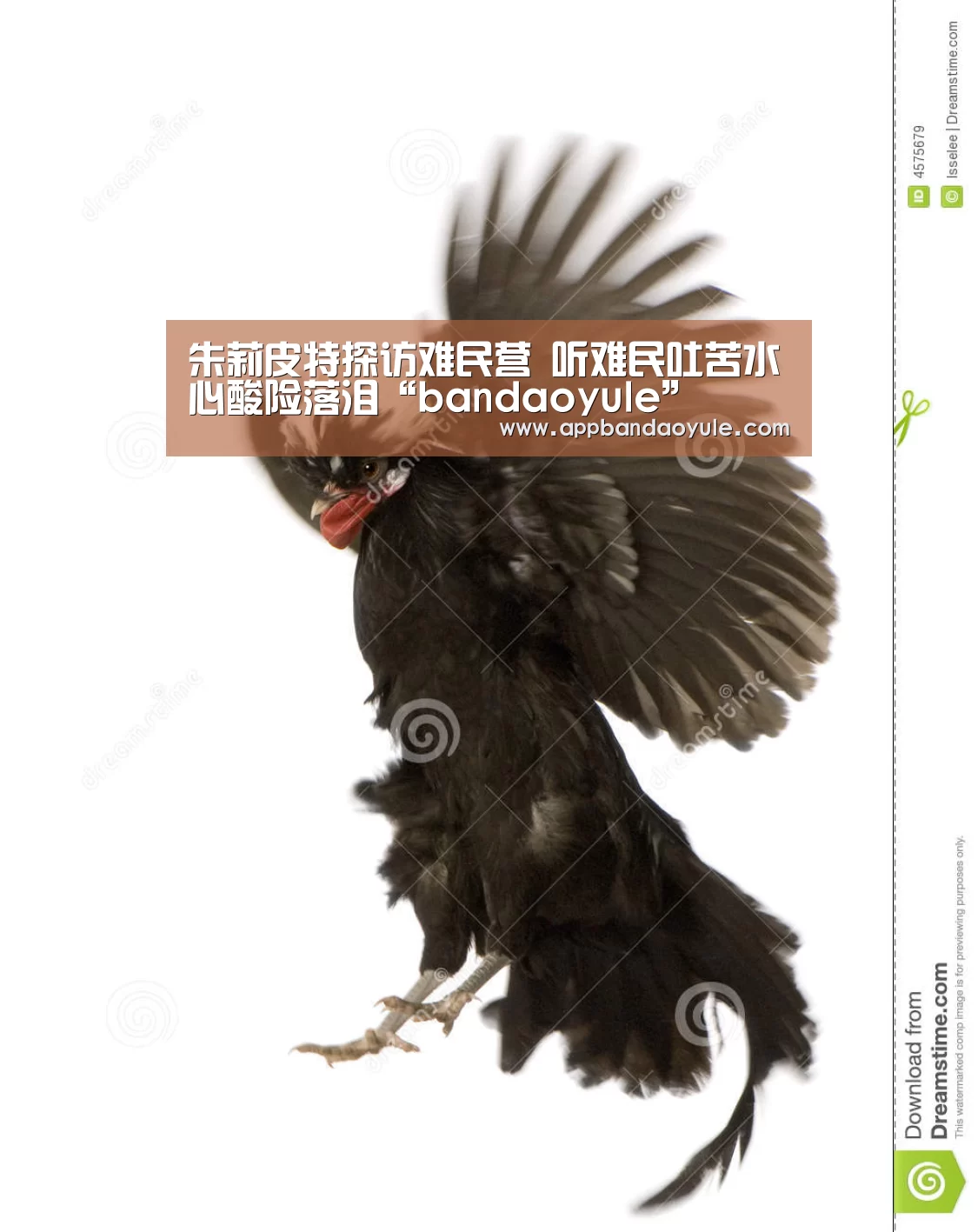 半岛娱乐官方网站