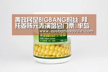 黄政民是BIGBANG粉丝 拜托姜栋元弄演唱会门票_半岛娱乐官方网站(图4) 半岛娱乐官方网站