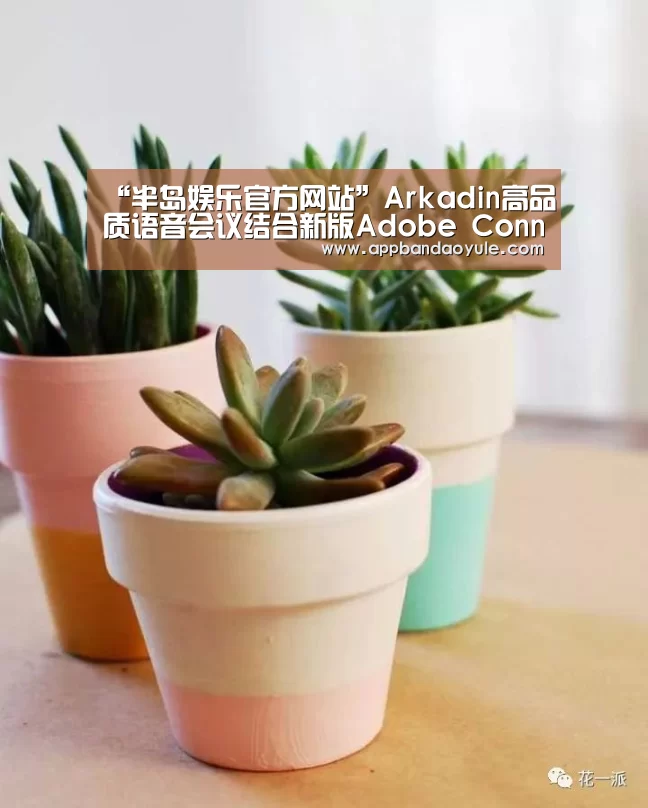 “半岛娱乐官方网站”Arkadin高品质语音会议结合新版Adobe Connect 9.1提供协作解决方案(图1)