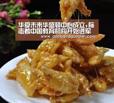 华夏未来华盛顿中心成立,标志着中国教育机构开始进军美国_半岛娱乐官网(图3)